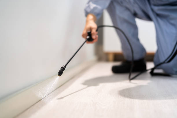 Licensed Termite Control service in Unadilla, GA - Show Me Pest Control