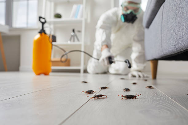 Commercial Rodent Management in Unadilla